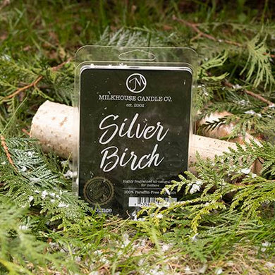Large Fragrance Melts: Silver Birch